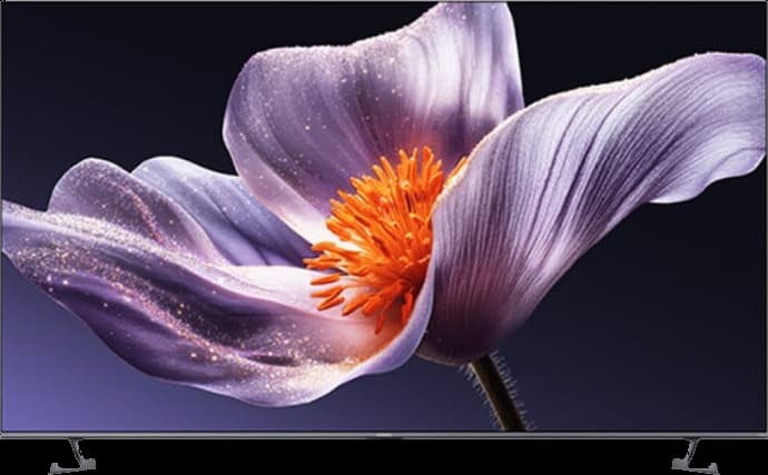 Телевізор Xiaomi TV S Pro Mini LED 55 (L55MB-SME)