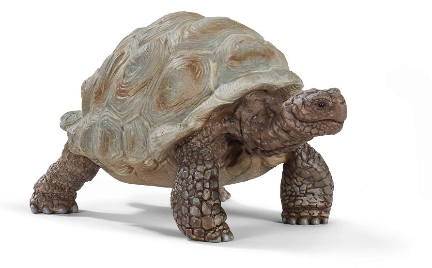 Іграшка-фігурка Schleich Гігантська черепаха