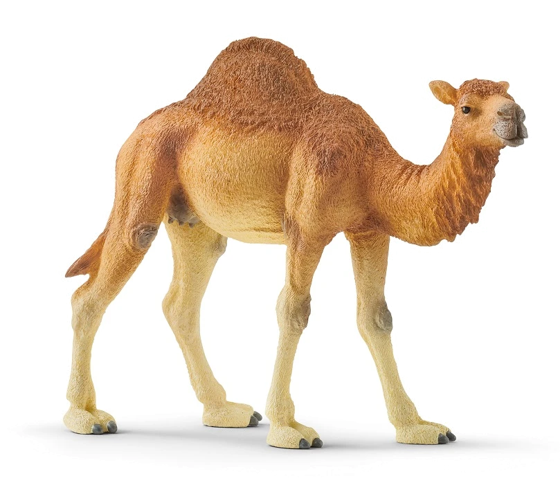 Іграшка-фігурка Schleich Дромедар