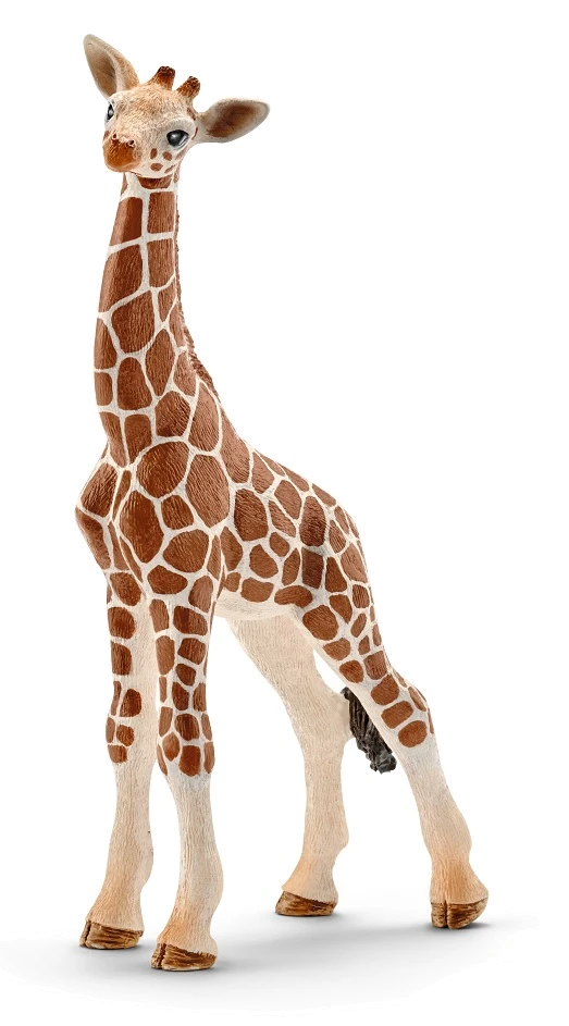 Іграшка-фігурка Schleich Дитинча жирафа