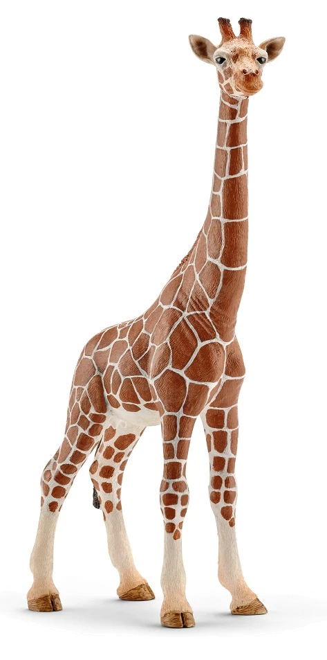 Іграшка-фігурка Schleich Жирафа самка