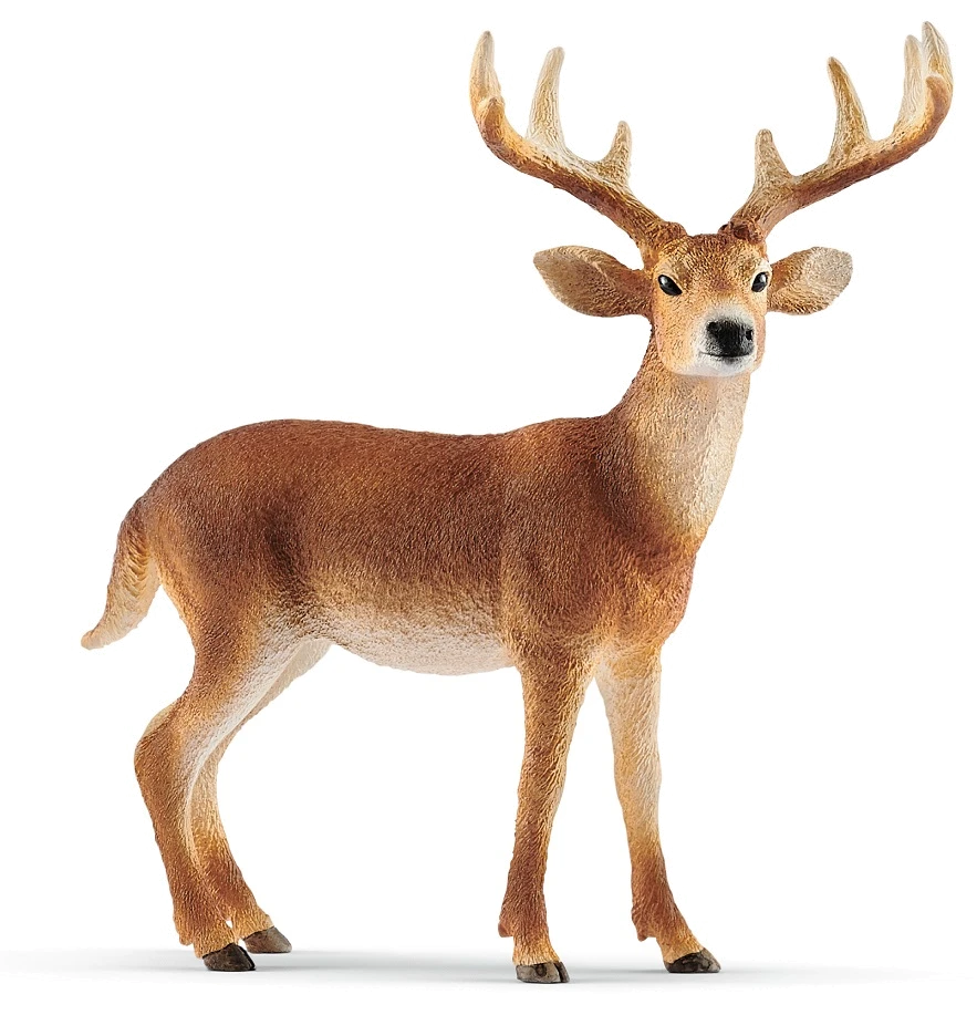 Іграшка-фігурка Schleich Білохвостий олень