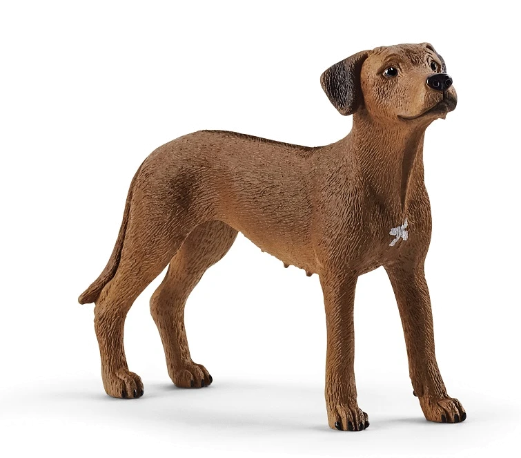 Іграшка-фігурка Schleich Родезійський риджбек