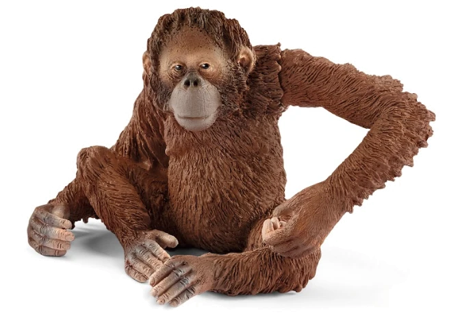 Іграшка-фігурка Schleich Самка орангутанга
