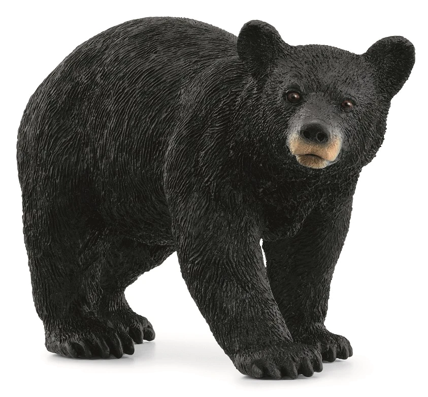 Іграшка-фігурка Schleich Американський чорний ведмідь