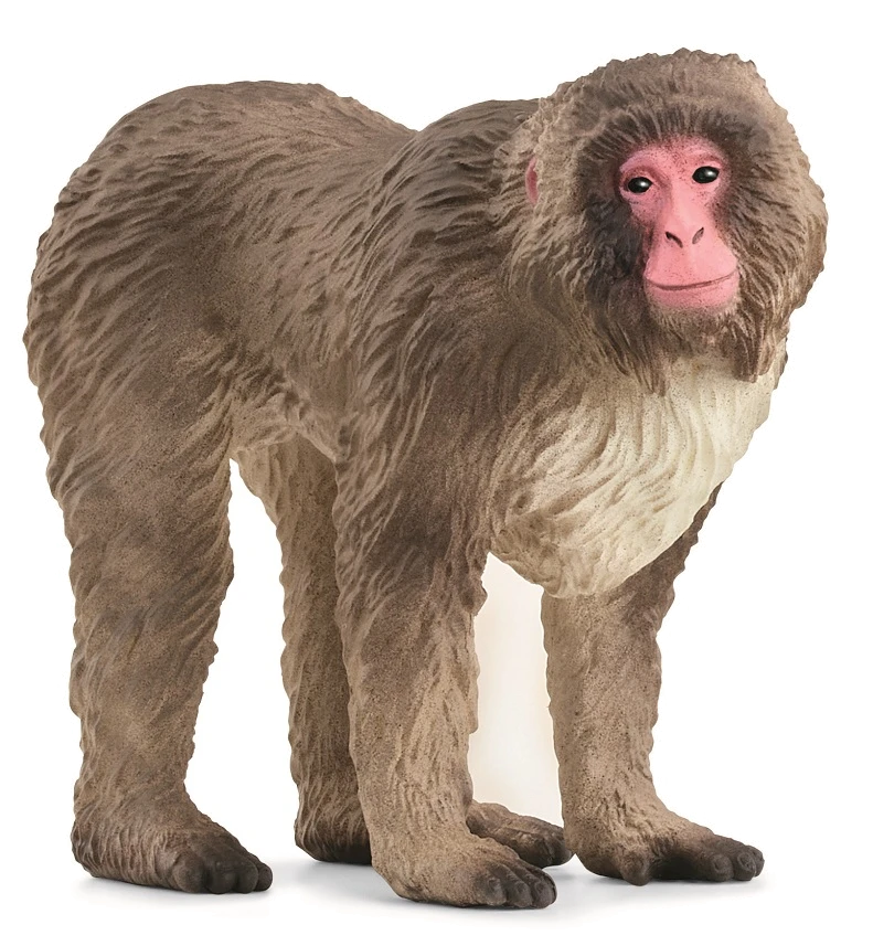 Іграшка-фігурка Schleich Японська макака