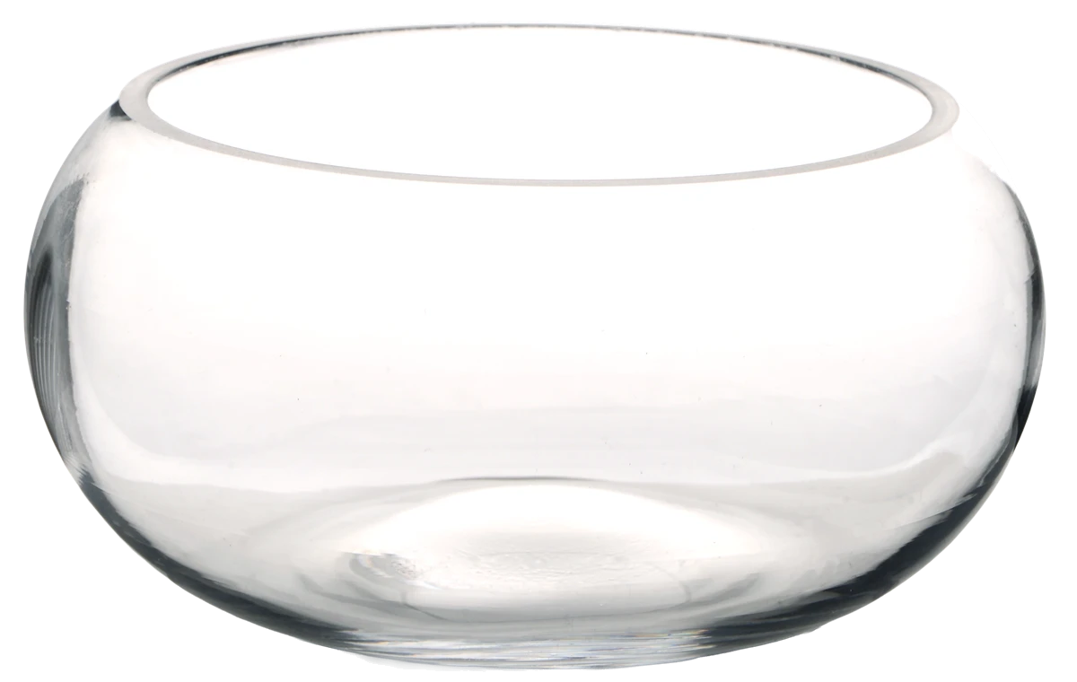 Ваза VIVA JANE /20X9см /низька/кор.уп. (A040112)