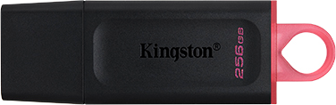 флеш-драйв KINGSTON DT Exodia 256GB USB 3.2 Black