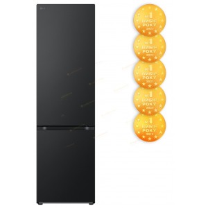 Холодильник LG GW-B509FT7W (7125141)
