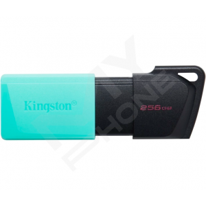 USB флеш Kingston DT Exodia M 256GB USB 3.2 (DTXM/256)