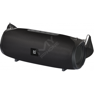 Портативна колонка Defender G22 20Вт, Black (65122) (6748248)
