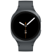 Смарт годинник Samsung Galaxy Watch 8 40mm Gray (SM-L320NDAASEK) (7141772)