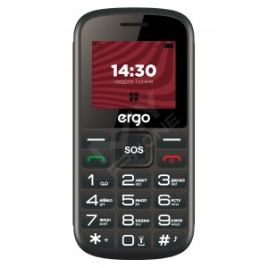 Мобільний телефон ERGO R202 Dual Sim Black (7137269)