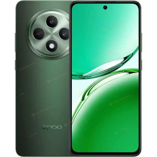 Смартфон OPPO Reno12 FS 12/512GB Black Green (7005071)