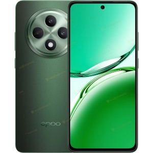 Смартфон OPPO Reno12 FS 12/512GB Black Green (7005071)