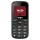 Мобільний телефон ERGO R202 Dual Sim Black (7137269)