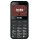 Мобільний телефон ERGO R231 Dual Sim Black (6906379)