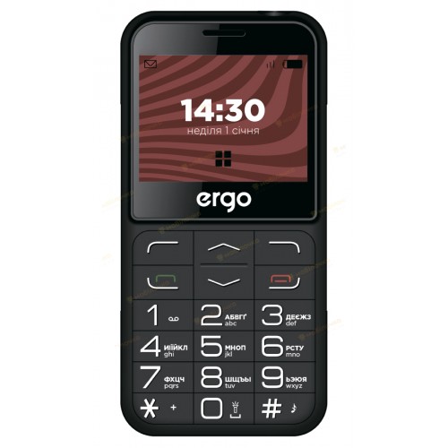 Мобільний телефон ERGO R231 Dual Sim Black (6906379)
