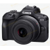 Цифрова камера Canon EOS R100 RF-S 18-45 IS STM (6903309)